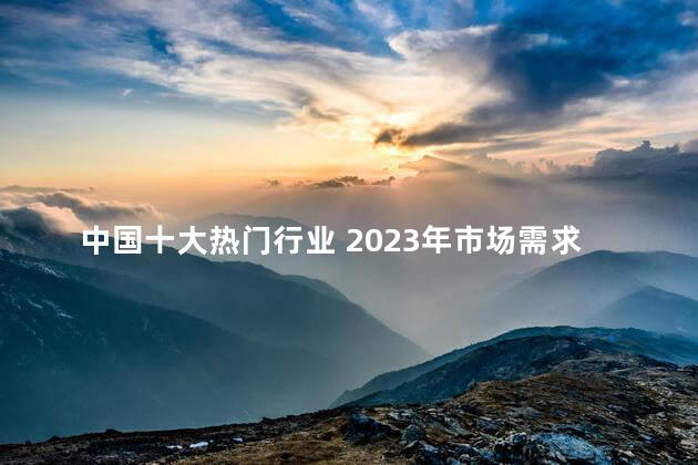 中国十大热门行业 2023年市场需求最大的行业